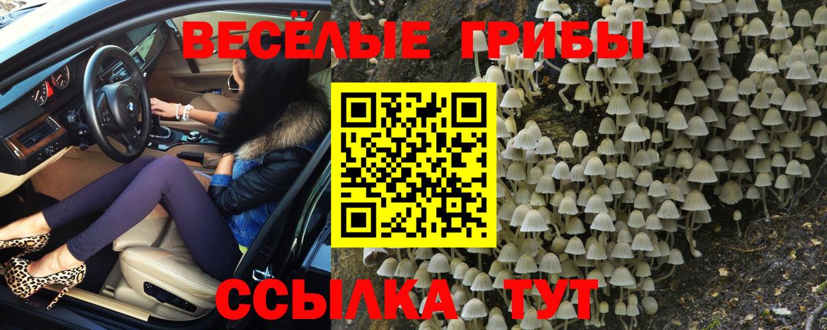 Галлюциногенные грибы ЛСД  Вход с VPN  Хабаровск 