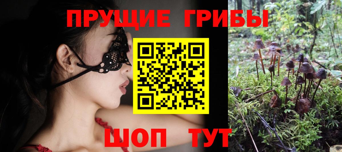 Псилоцибиновые грибы MAGIC MUSHROOMS Хабаровск